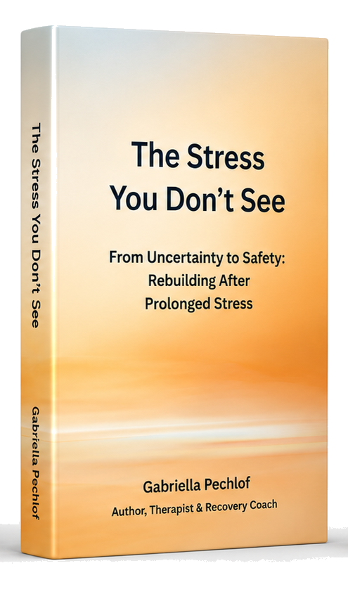 Couverture du livre The Stress You Don't See